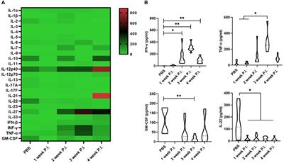 Severe persistent mycobacteria antigen stimulation causes lymphopenia through impairing hematopoiesis